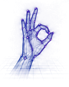 Tracked hand with landmarks
